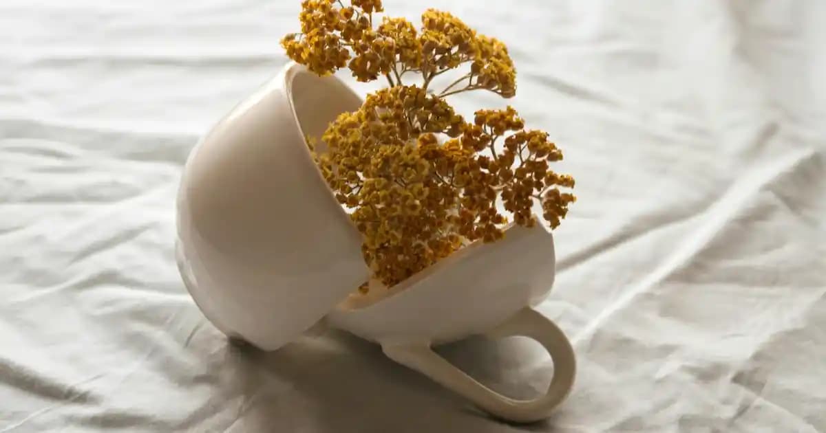 Nike Spor Giyim Ayakkabıları: Şıklık ve Konforu Bir Arada Sunan En İyi Seçenekler