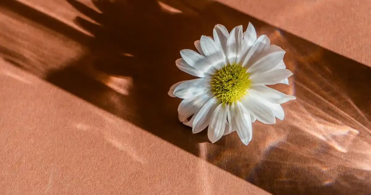 Nike Tanjun Çanta Modelleri ve Özellikleri Spor ve Günlük Kullanım İçin Uygun