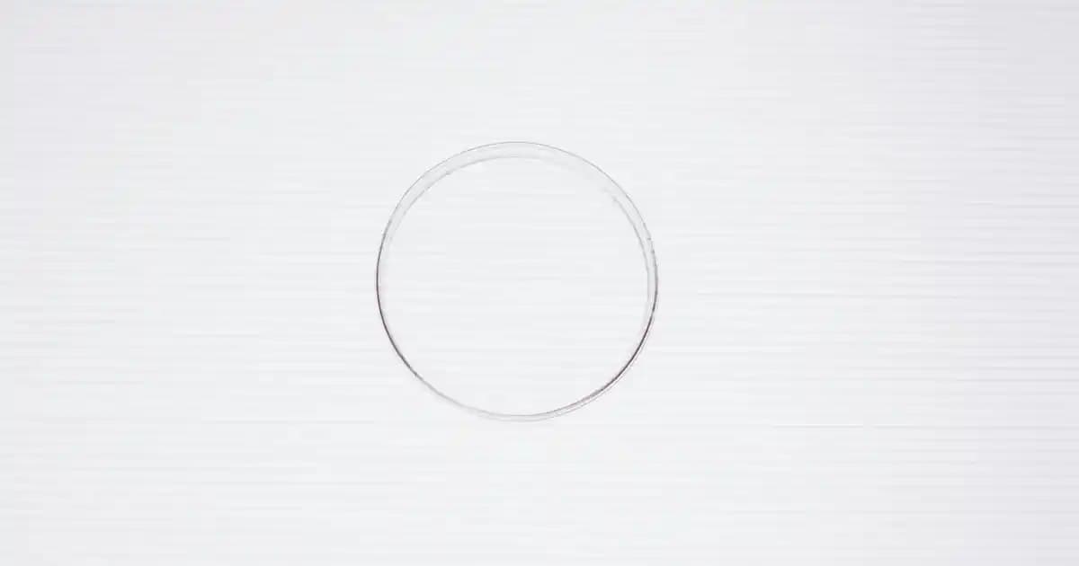 Nike TC 7900 Kadın Beyaz Spor Ayakkabısı: Şık ve Konforlu Günlük Kullanım Modeli