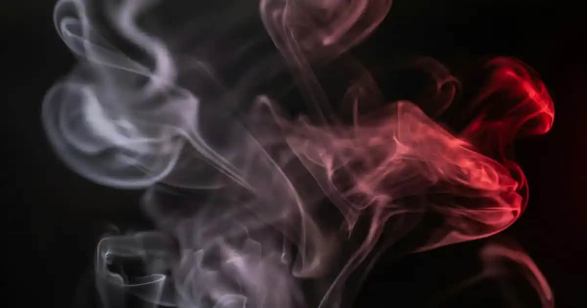 Nike Tekno Kadın Ayakkabıları: Şık Tasarım ve Yüksek Konfor ile Günlük Kullanım