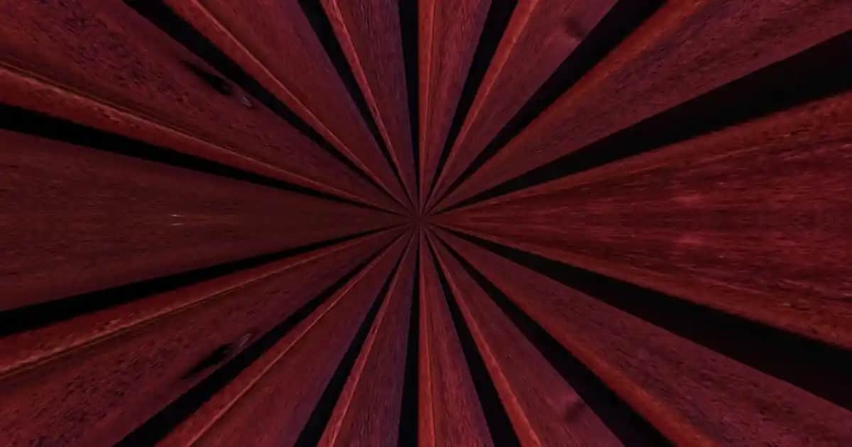 Nike ve Jordan Kadın Ayakkabıları: Şıklık ve Performansın Mükemmel Buluşması