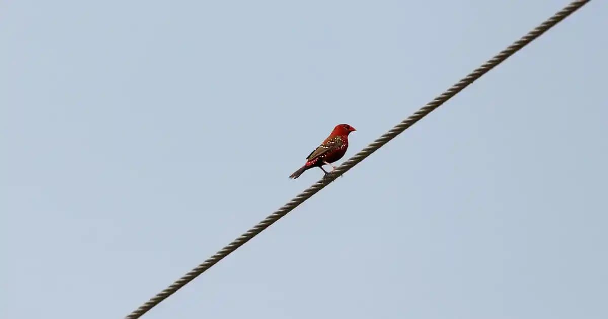 Nike Yan Çanta: Spor Şıklığını Tamamlayan Pratik ve Şık Aksesuar Seçenekleri