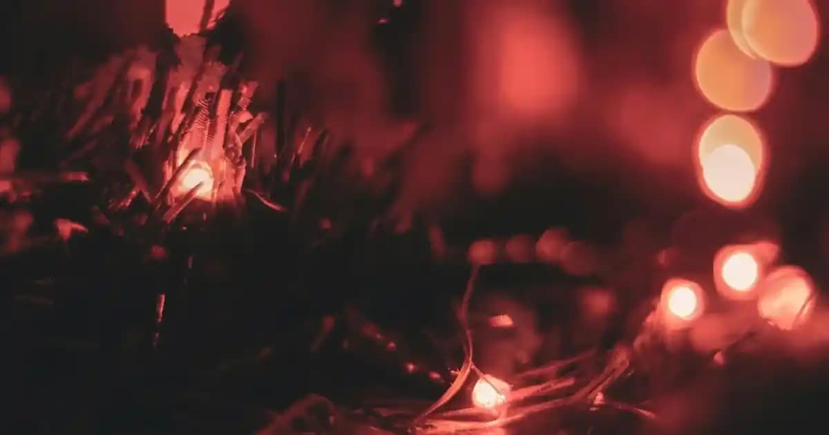 Nike Yeni Sezon Bayan Ayakkabıları: Şıklık ve Performansın Bir Arada Sunulduğu Koleksiyon