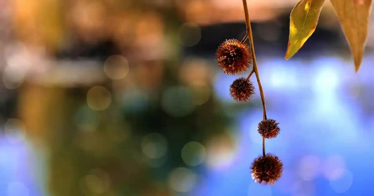 Nike Zoom Erkek Spor Ayakkabıları: Performans ve Şıklığın Modern Buluşması