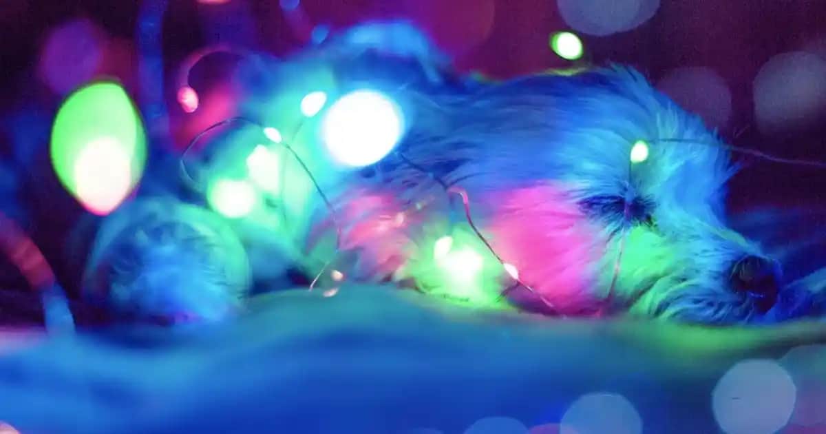 Nötr Renklerin Moda ve Çanta/Ayakkabı Tasarımındaki Önemi ve Kombinasyon İpuçları