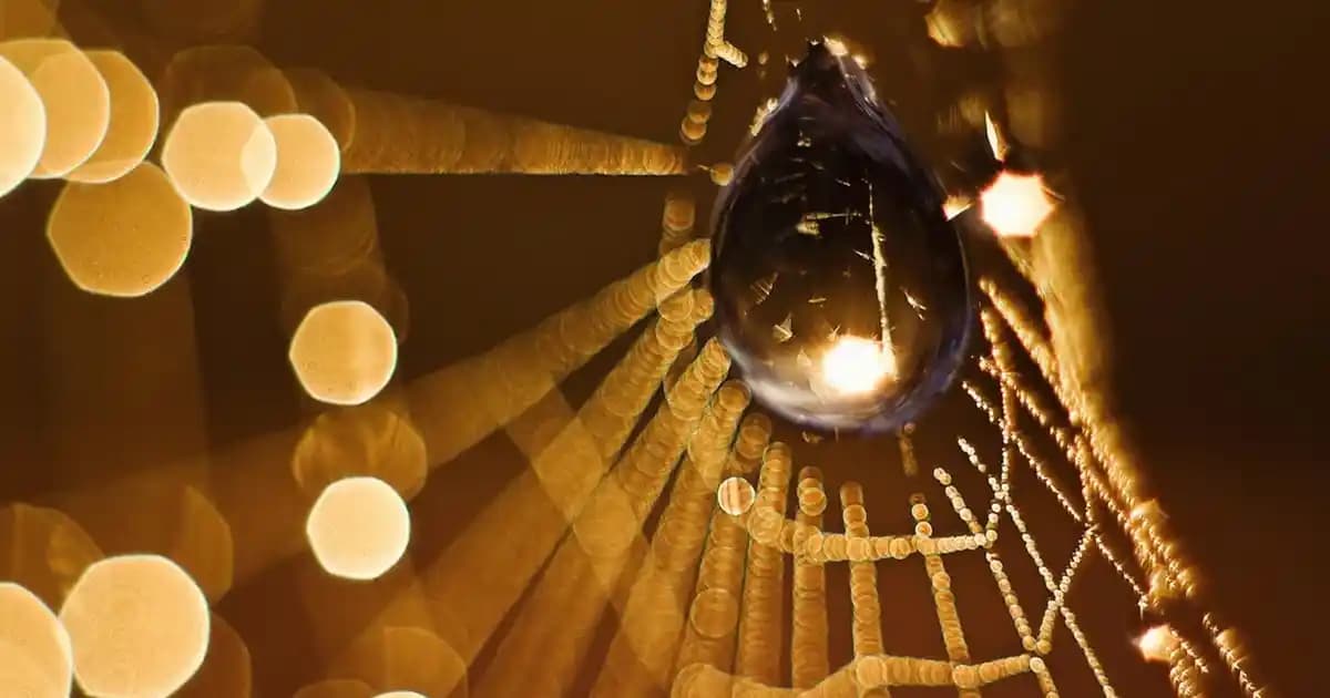 NY 90 Ayakkabıları: Retro Tasarım ve Güncel Moda Trendlerini Bir Arada Sunar