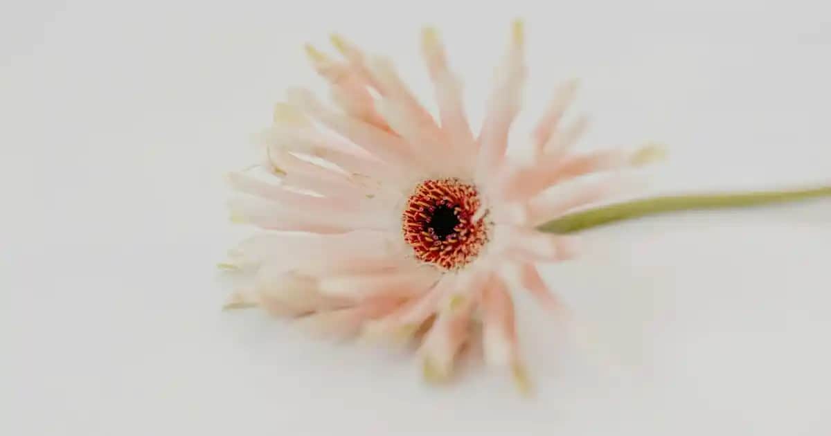 Off-White Siyah Ayakkabılar: Modern Tasarım ve Çok Yönlü Stil Önerileri