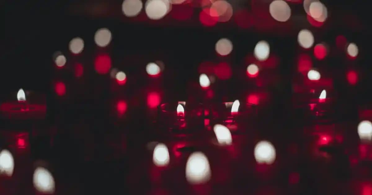 Only Kadın Mont Koleksiyonu: Şıklık ve İşlevselliğin Modern Buluşması