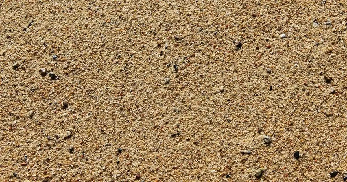 Özel Tasarım Kahve Fincanları: Kişiye Özel Tasarımlar ve Günlük Kullanım İpuçları