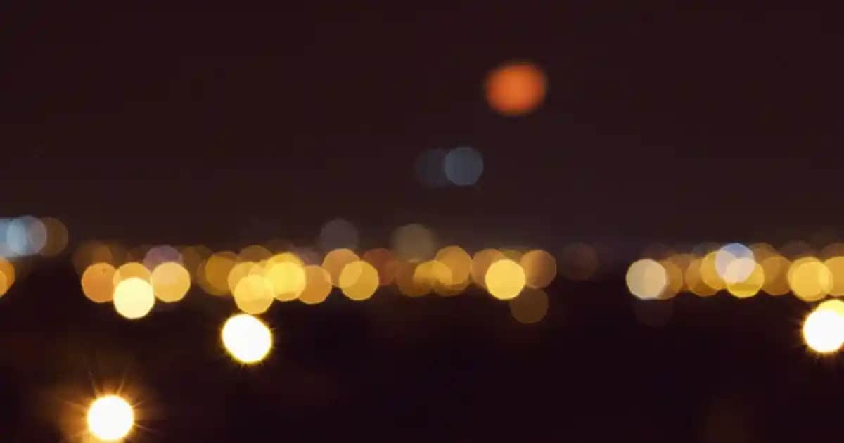 Pantolon Düğün Kombinleri: Şıklık ve Rahatlığı Bir Arada Yakalayın