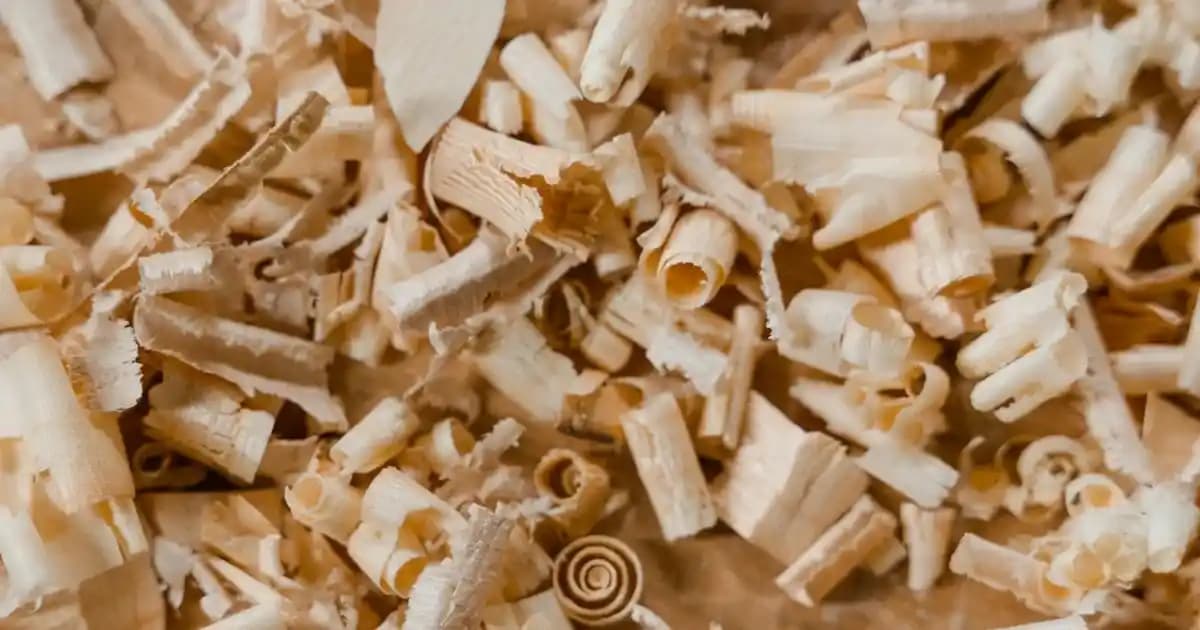 Puma Erkek Eşofman Takımlarıyla Spor Şıklığını Yakalayın ve Gün Boyu Konfor Sağlayın