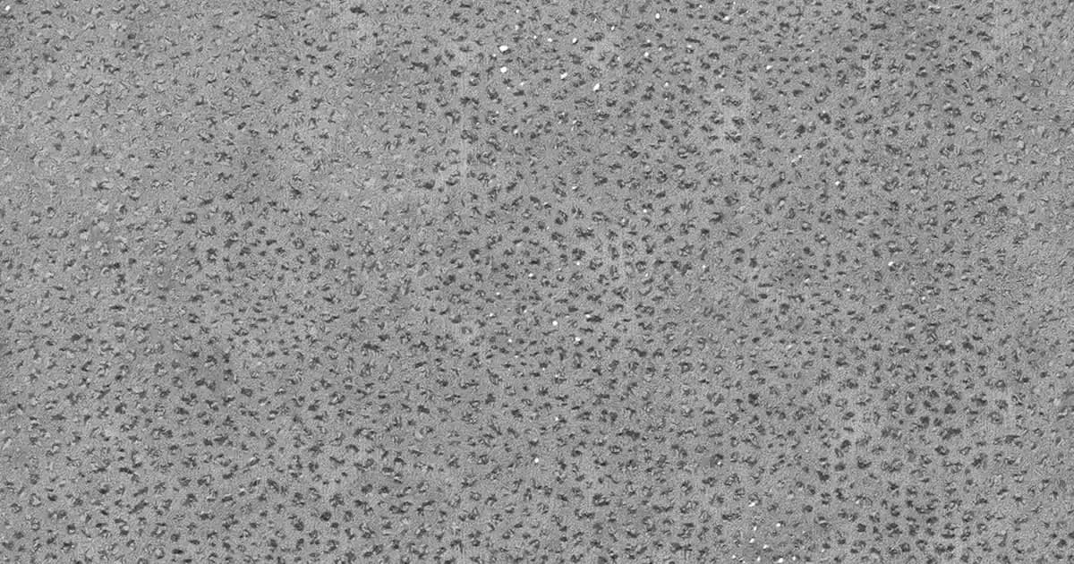 Puma Mor Sırt Çantası Modelleri ve Özellikleriyle Günlük ve Spor Kullanımına Uygun