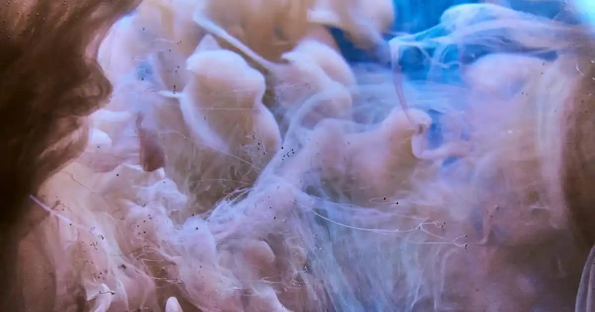 Puma Outlet Ayakkabılarıyla Uygun Fiyatlı Spor ve Günlük Modeller