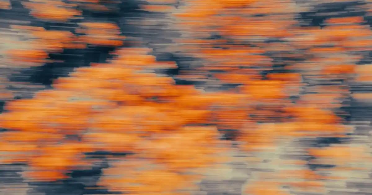 Puma Spor Ayakkabıları: Performans ve Şıklık Sunan Modern Tasarımlar ve Fiyat Seçenekleri