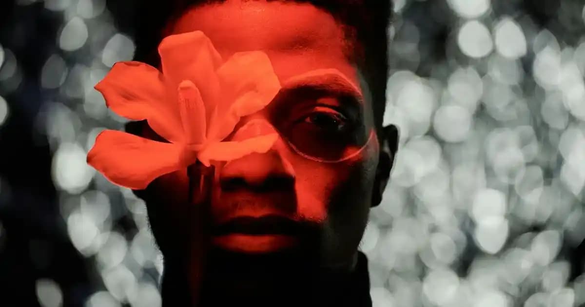 Reebok Ayakkabıları: Performans, Stil ve Konforun Bir Arada Sunulduğu Modeller