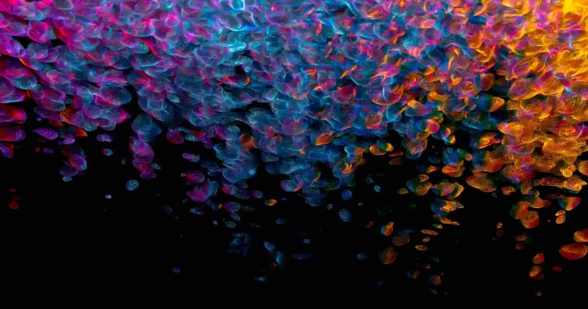 Reebok Gore-Tex Erkek Ayakkabıları: Su Geçirmezlik ve Konforun Mükemmel Buluşması