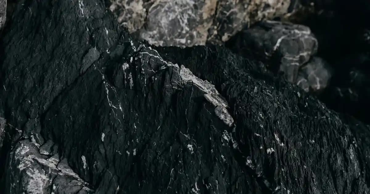 Reebok Turbo Restyle Erkek Ayakkabıları: Modern Tasarım ve Yüksek Konfor Bir Arada