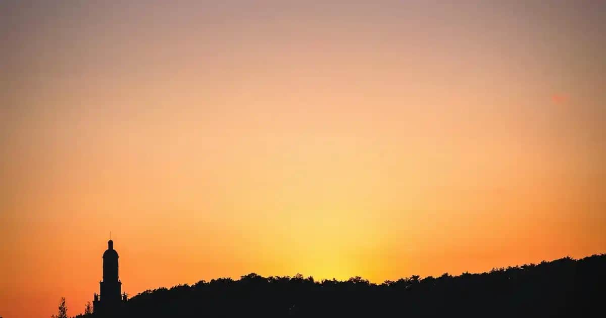 Renkli Basketbol Ayakkabıları Seçim Rehberi: Stil ve Performansı Bir Arada Yansıtın