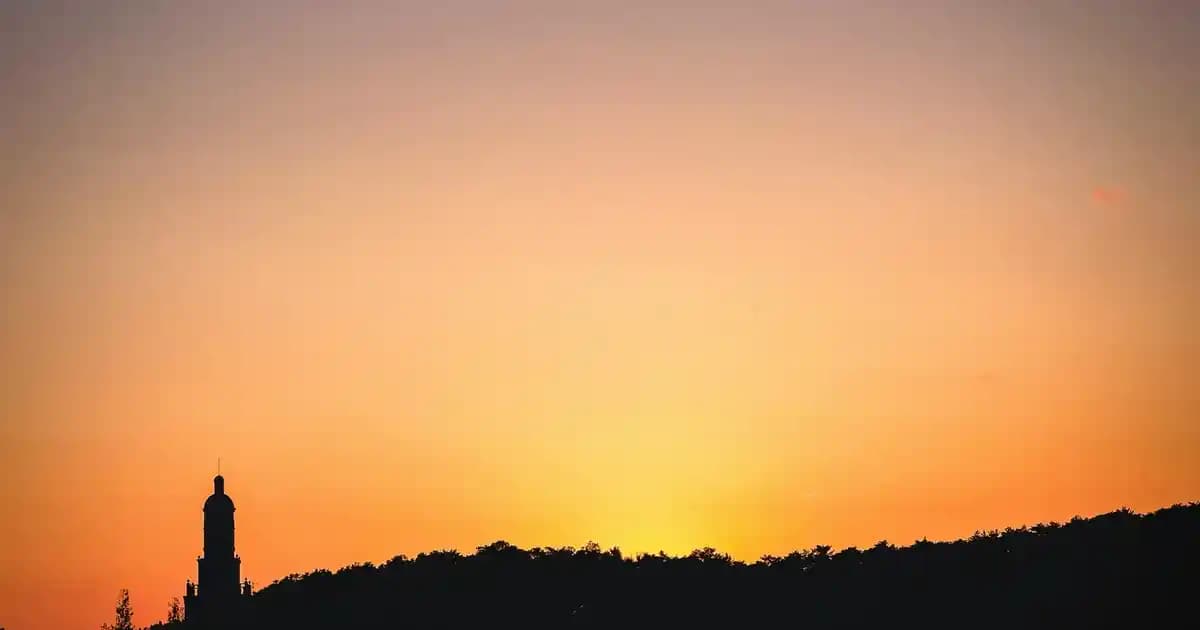 Renkli Basketbol Ayakkabıları Seçim Rehberi: Stil ve Performansı Bir Arada Yansıtın