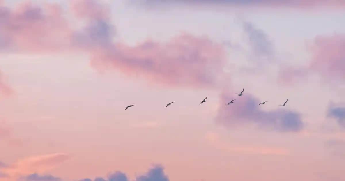 Renkli Erkek Spor Ayakkabılarıyla Tarzınızı Yükseltmenin En Güncel Yolları