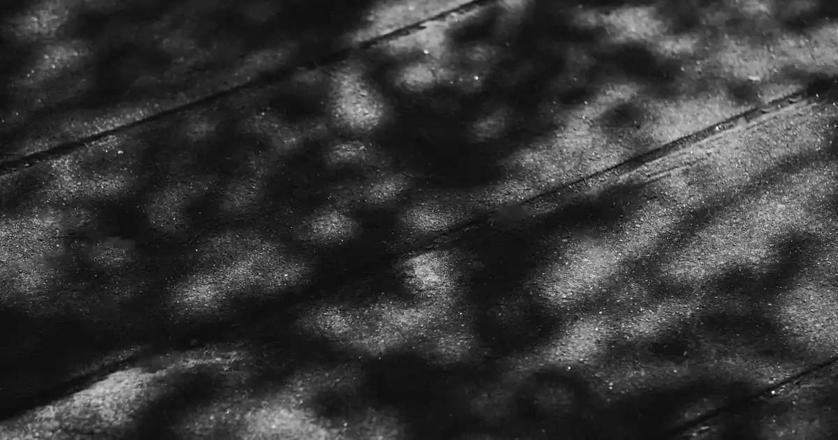 Sade Beyaz Tişörtler: Zamansız Şıklık ve Çok Yönlülük İçin Temel Parça