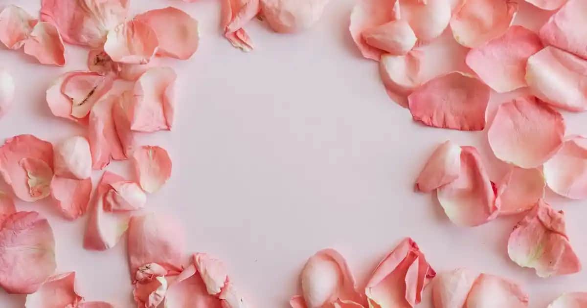 Sandalye Minderi Modelleri ve Seçim Kriterleri: Konfor ve Estetiğin Uyumunu Yakalamak