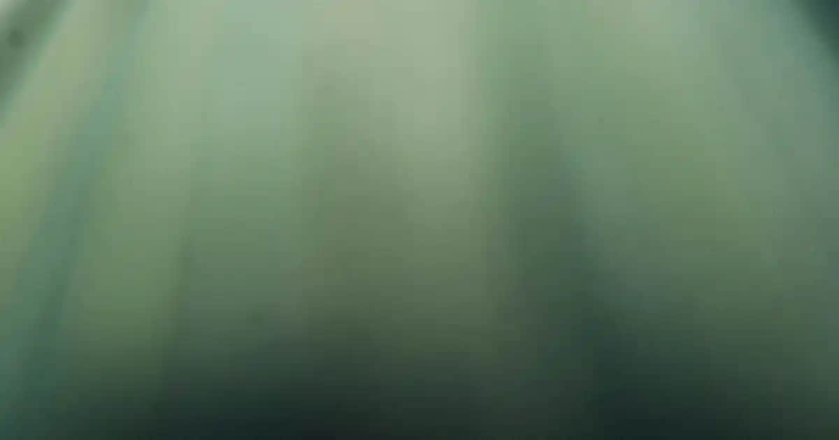 Sarı Crocs Terlikler: Rahatlık ve Şıklığın Modern Moda Trendleri