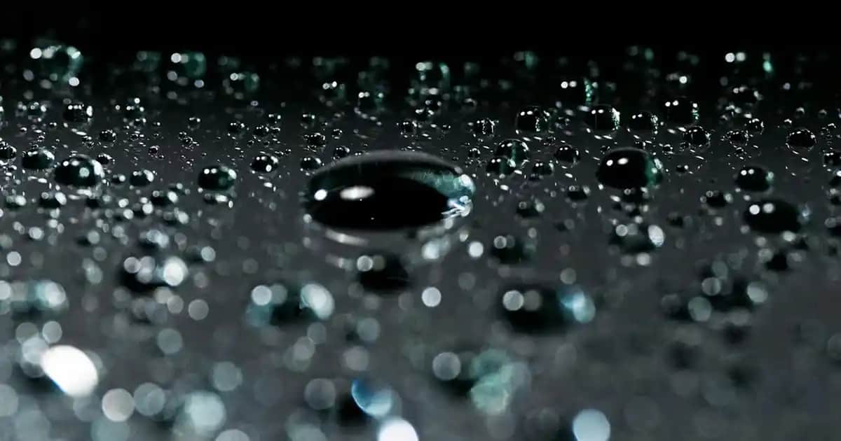 Siyah Beyaz Tabanlı Ayakkabılar: Şıklık ve Konforun Modern Birleşimi