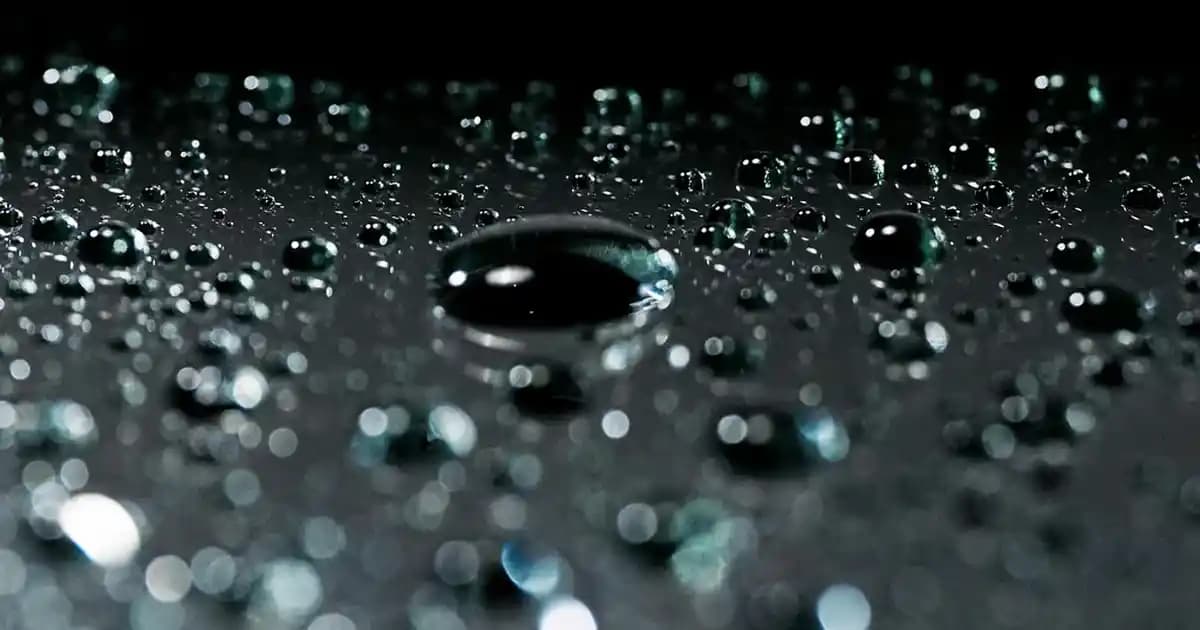 Siyah Beyaz Tabanlı Ayakkabılar: Şıklık ve Konforun Modern Birleşimi