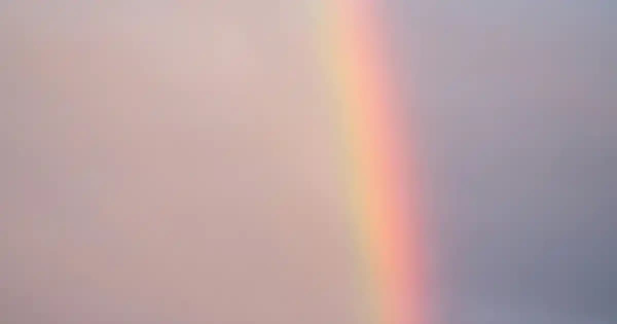 Siyah Kadın Sweatshirt ve Ayakkabılar: Moda ve Konforun Şık Birleşimi