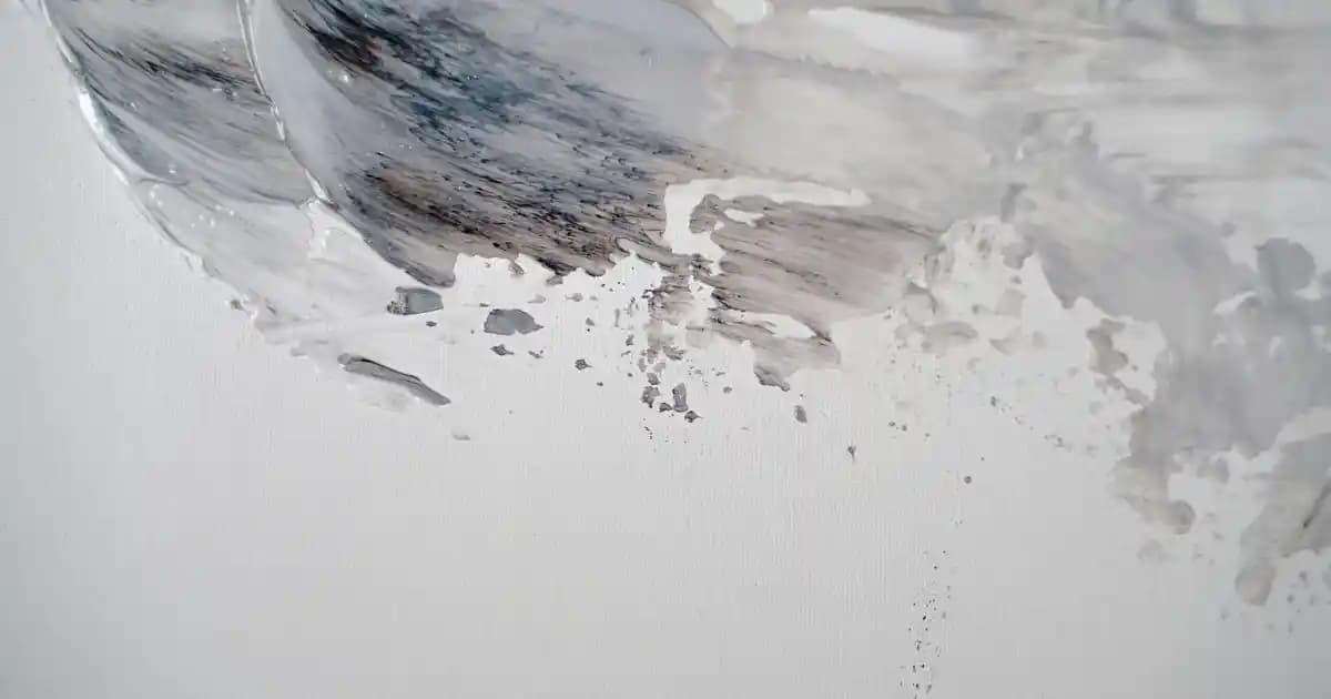 Siyah Nike Kadın Spor Ayakkabıları: Şıklık ve Performansı Bir Arada Sunan Modeller