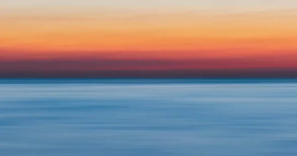 Siyah Tişört Kombinleri: Çanta ve Ayakkabı Seçenekleriyle Şık ve Uygun Stil Yaratma