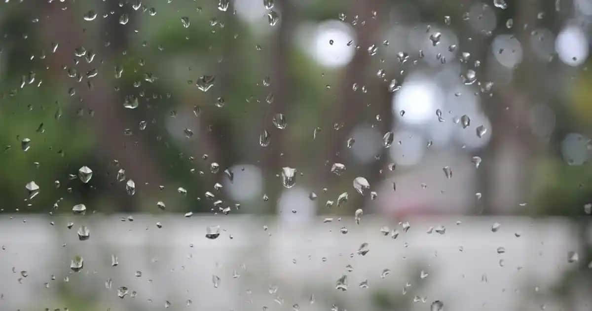 Skechers Escape Planı Erkek Spor Ayakkabıları: Konfor ve Şıklık Sunan Modern Tasarımlar