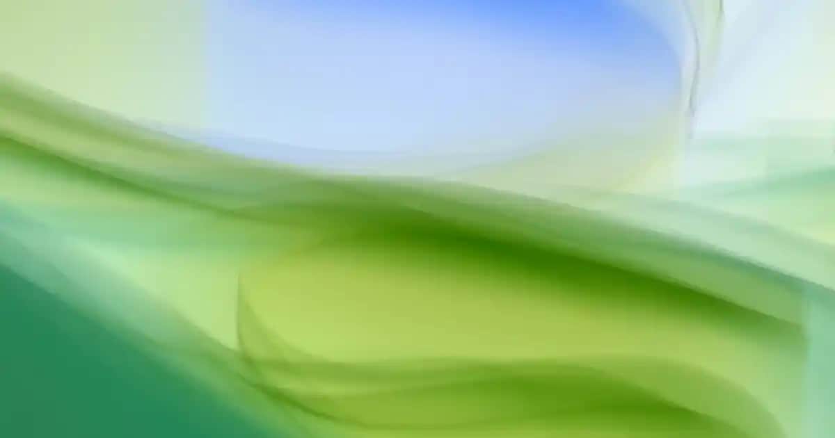 Skechers Max Cushioning Kadın Ayakkabıları: Konfor ve Şıklığın Mükemmel Buluşması