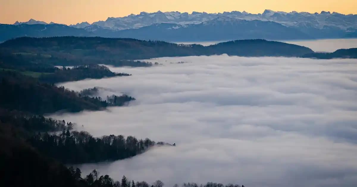 Slim Fit Beyaz Gömlek Erkek Modasında Modern ve Şık Bir Seçenek