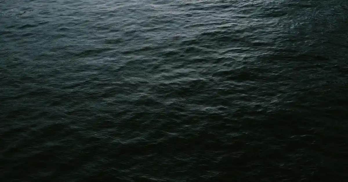 Spor Takım Ayakkabıları: Konfor ve Stil Bir Arada Seçenekler ve Trendler