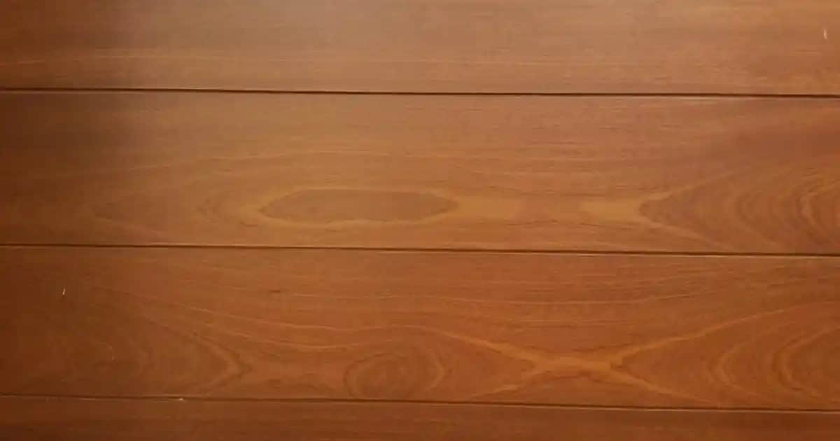 Taban Ayakkabısı Seçerken Dikkat Edilmesi Gerekenler ve Güncel Trendler