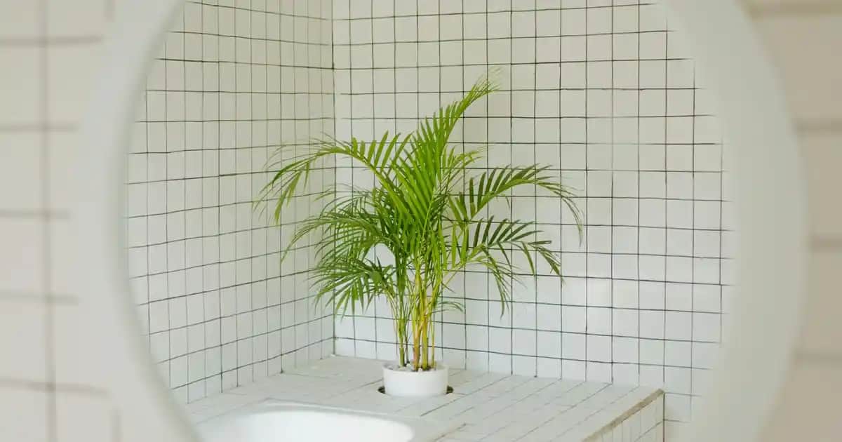 Terlik Çeşitleri ve Modelleri: Konfor ve Şıklığın Uyumlu Noktası