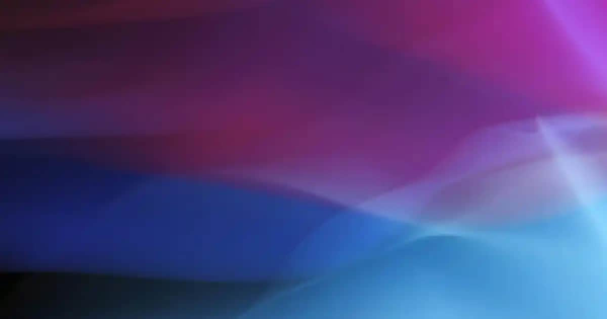 Teşekkür İçin En Uygun Çiçekler ve Anlamları Hakkında Kapsamlı Rehber