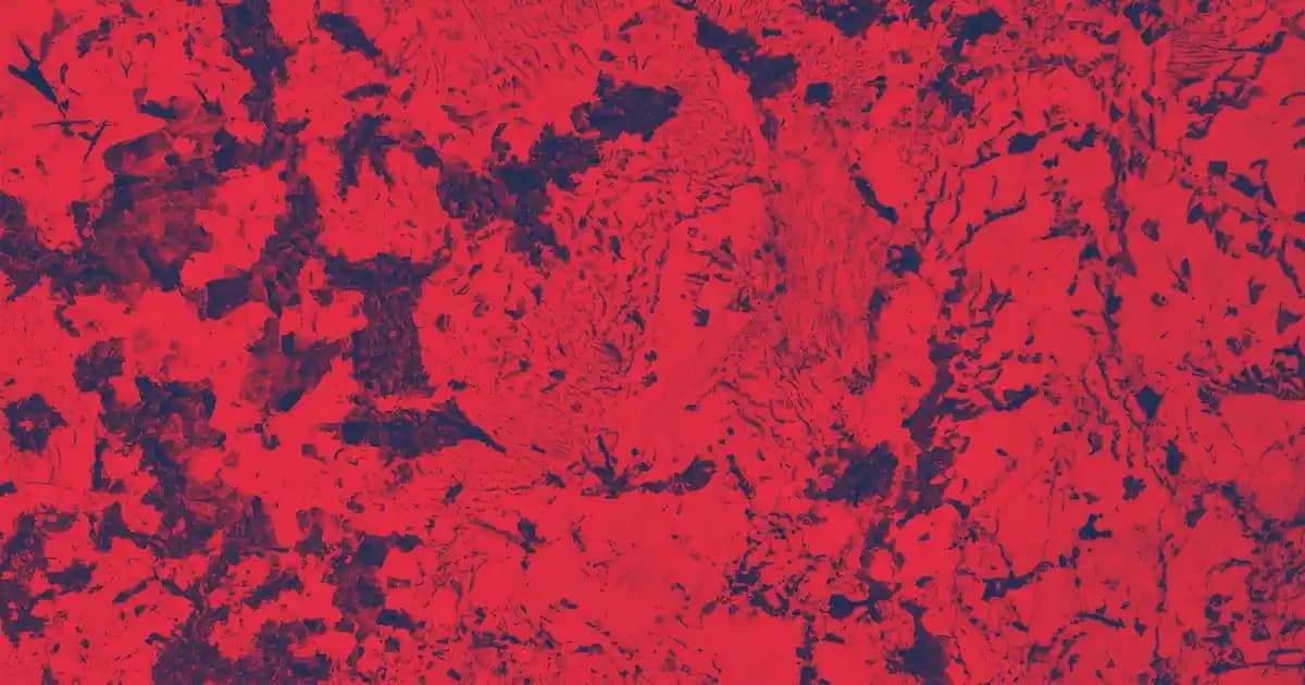 Tommy Beyaz Ayakkabı Modasında Şıklık ve Konforun Buluşması