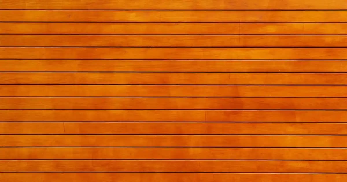 Trainer Ayakkabı Seçerken Dikkat Edilmesi Gerekenler ve Güncel Trendler