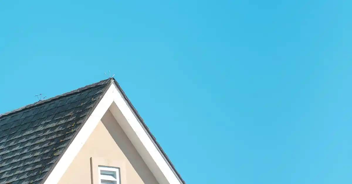 Turuncu Gömlek Kombinasyonları: Moda Trendleri ve Stil İpuçları