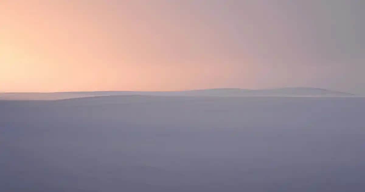 US Polo Kadın Hırkaları: Şıklık ve Konforu Bir Arada Sunan Kış Trendleri