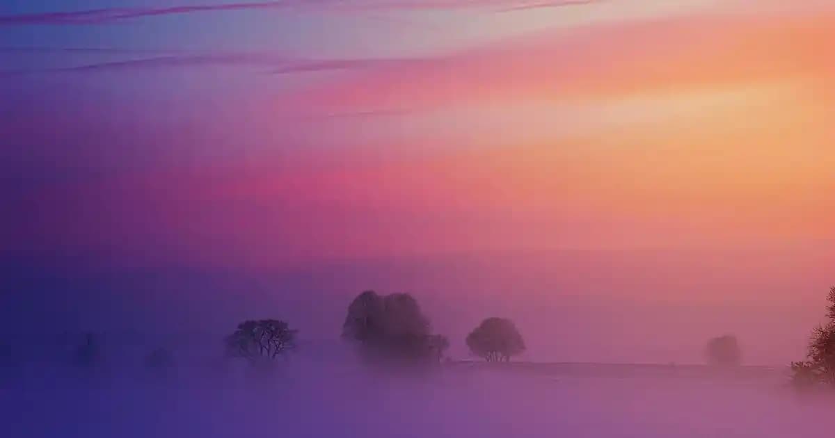 Vans Ayakkabı Modelleri ve Güncel Fiyatlar: Stil ve Kalite Dengesi Analizi