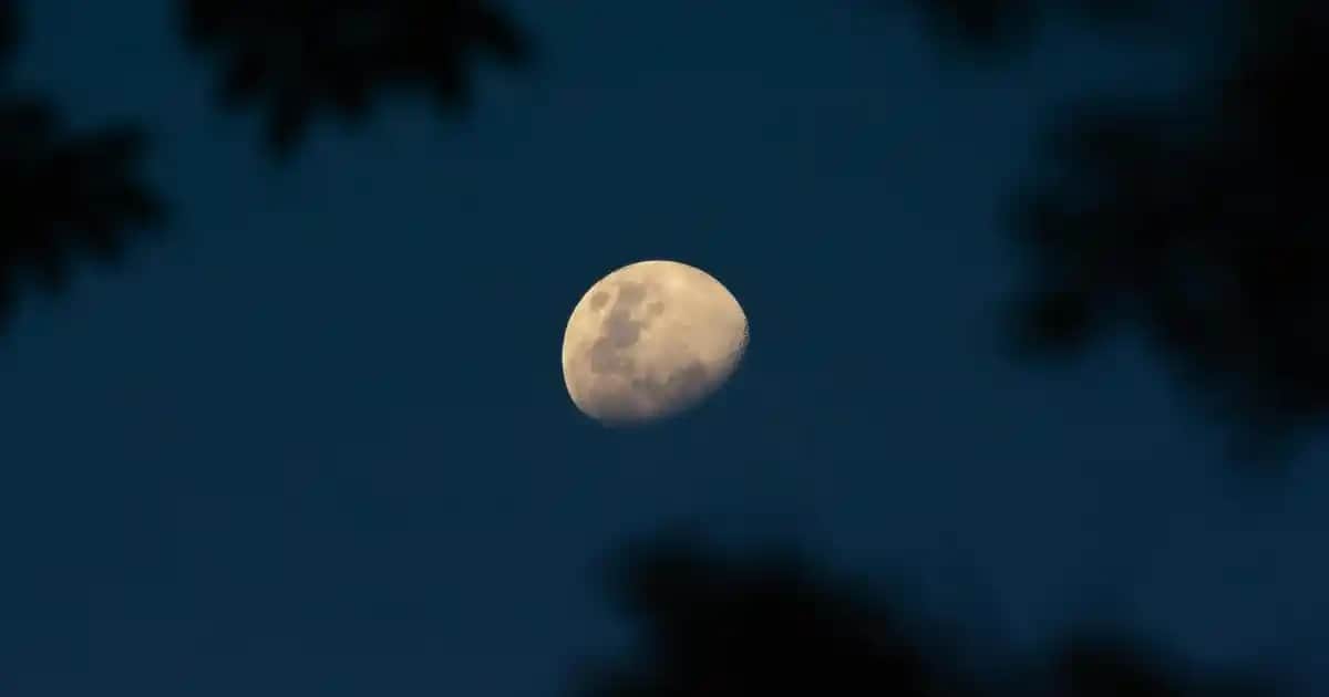 Vans Bilekli Renkli Ayakkabılar: Stil ve Rahatlığın Modern Buluşması