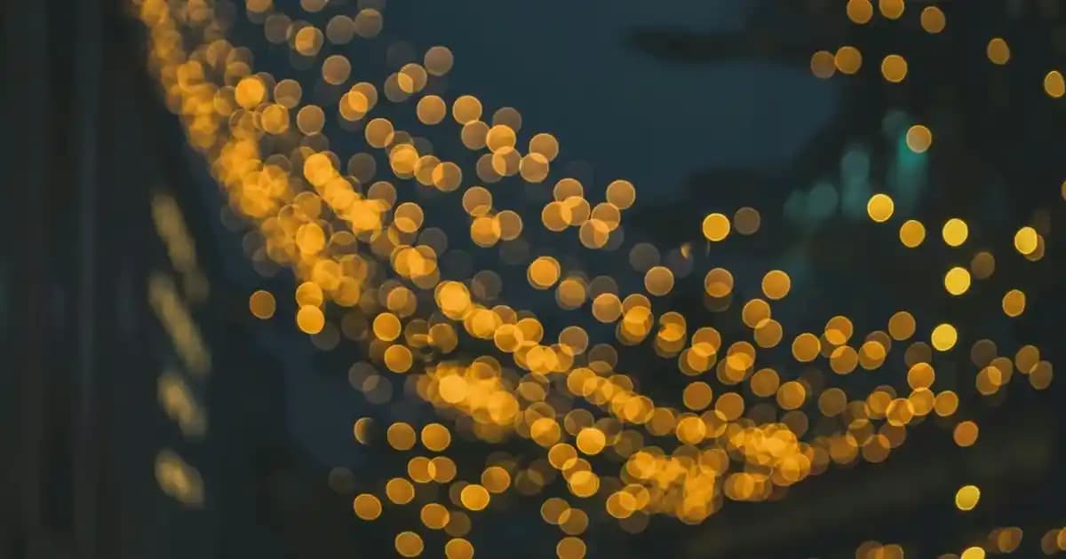 Vans Ward Erkek Ayakkabıları: Şıklık ve Konforun Günlük Kullanımda Buluşması