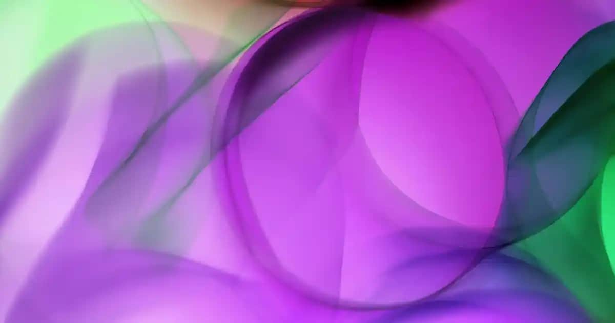 Veja Kadın Ayakkabıları: Sürdürülebilirlik ve Şıklığın Modern Buluşması