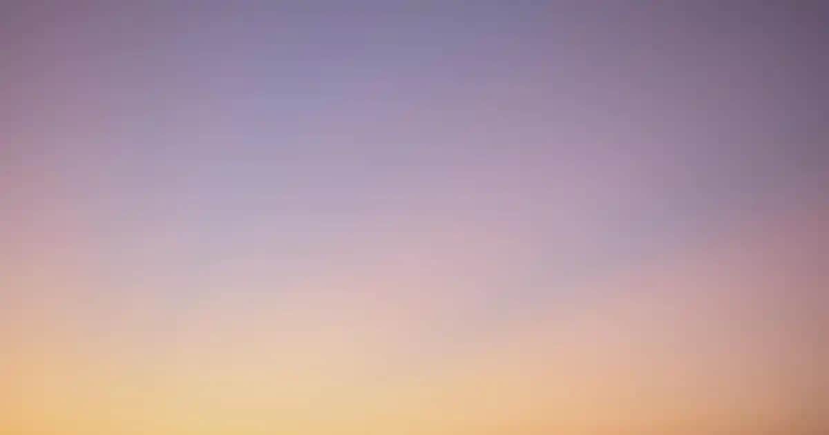 WOUS Erkek Mont Fiyatları ve Moda Dünyasındaki Yeri Hakkında Detaylı Bilgi