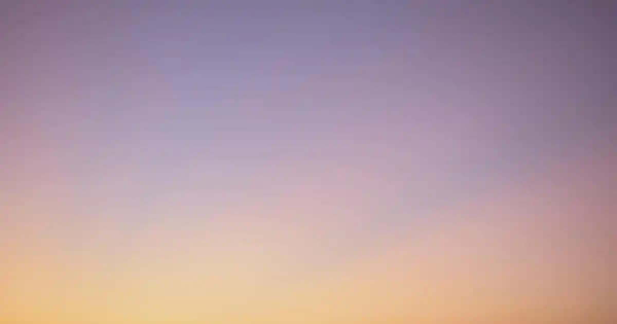 WOUS Erkek Mont Fiyatları ve Moda Dünyasındaki Yeri Hakkında Detaylı Bilgi