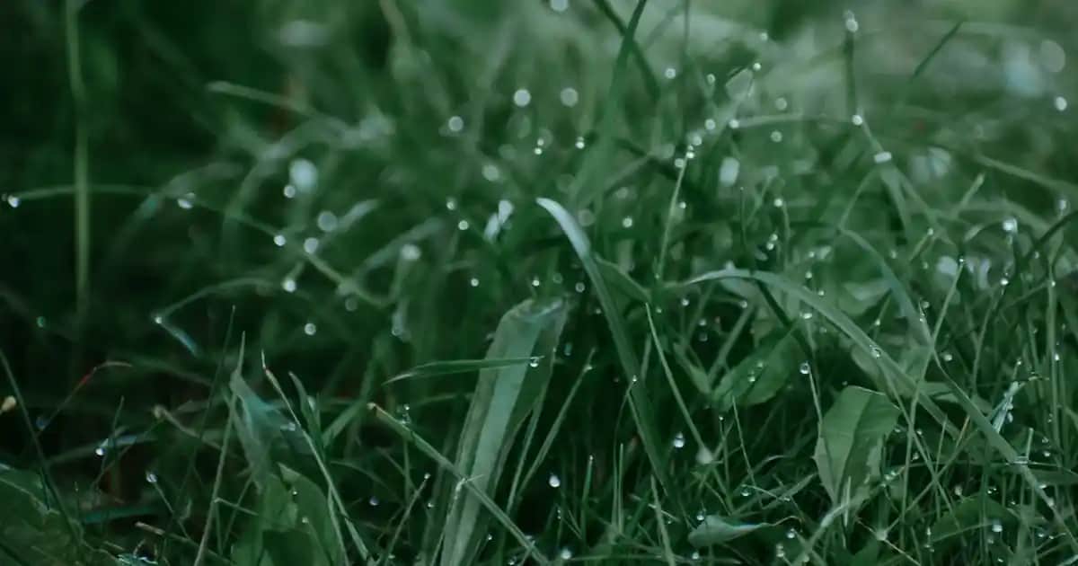 Yanında N Yazılı Ayakkabılar: Stil ve Konforun Modern Buluşması